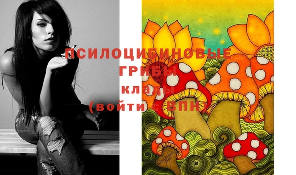 Альфа ПВП Верея