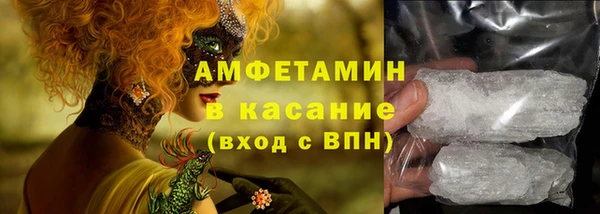 шишки Арсеньев